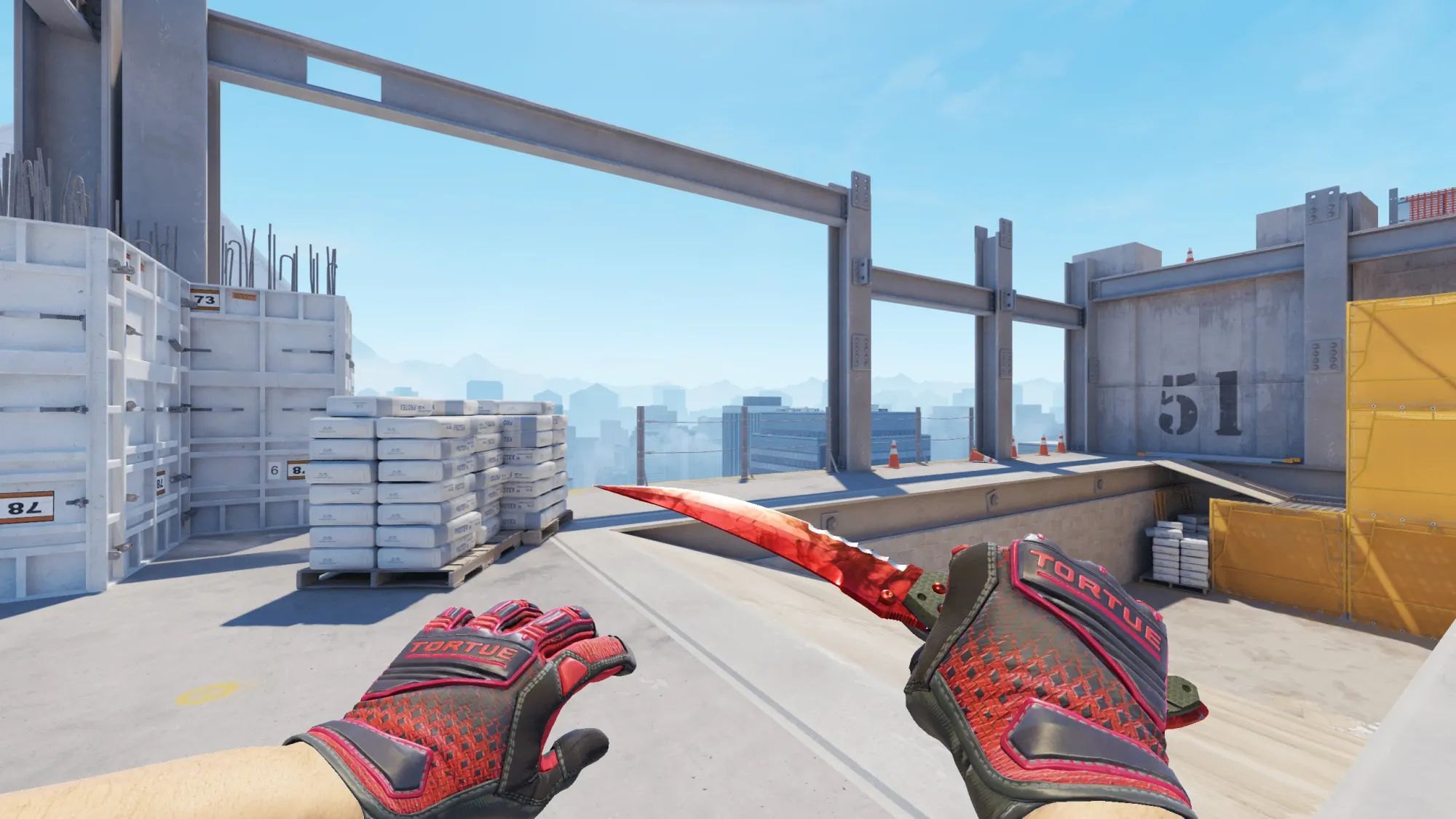 In-game image showing a CS2 knife and glove combo, highlighting the matching colors and patterns of the weapon and gloves.
