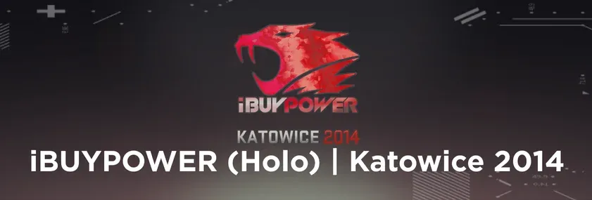 iBUYPOWER (Holo) | Katowice 2014 sticker on a grey background