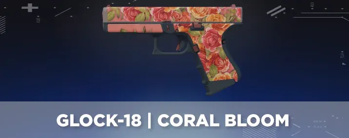 CS2 skin with a cool flavor text.