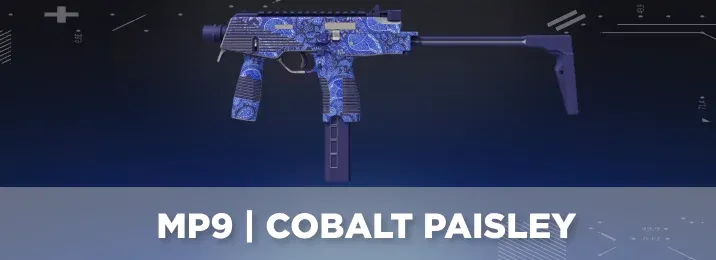 CS2 skin with a cool flavor text.