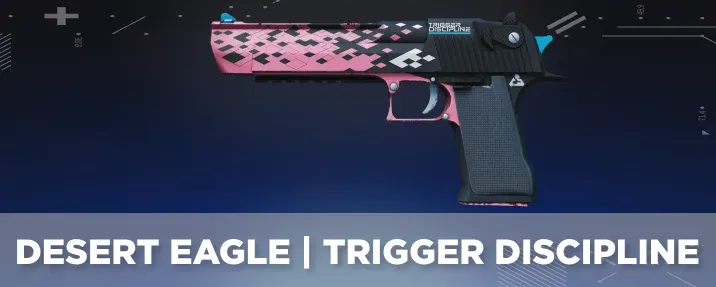 CS2 skin with a cool flavor text.