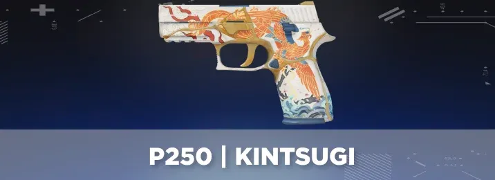 CS2 skin with a cool flavor text.