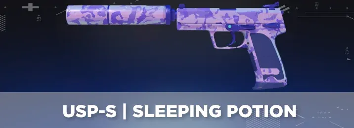 CS2 skin with a cool flavor text.