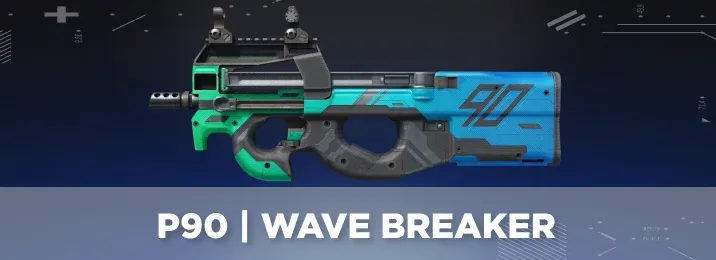 CS2 skin with a cool flavor text.