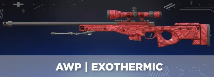 CS2 skin with a cool flavor text.
