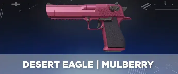 CS2 skin with a cool flavor text.