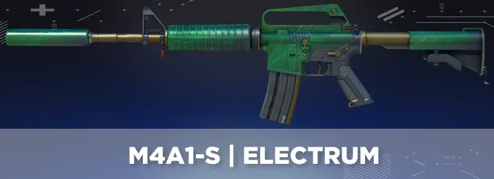 CS2 skin with a cool flavor text.
