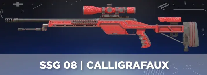 CS2 skin with a cool flavor text.