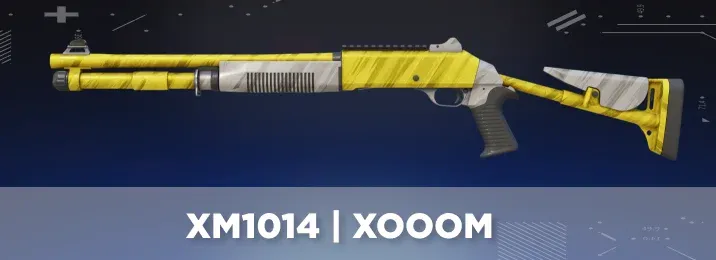 CS2 skin with a cool flavor text.
