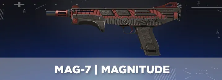 CS2 skin with a cool flavor text.