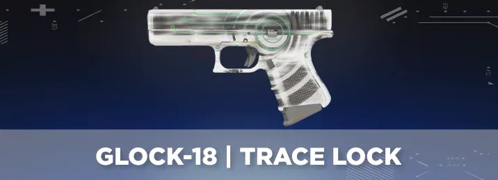 CS2 skin with a cool flavor text.