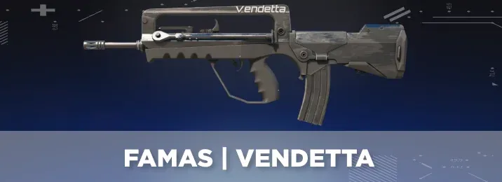 CS2 skin with a cool flavor text.