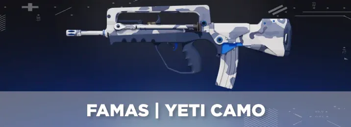CS2 skin with a cool flavor text.