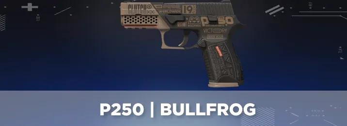 CS2 skin with a cool flavor text.