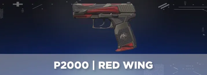 CS2 skin with a cool flavor text.