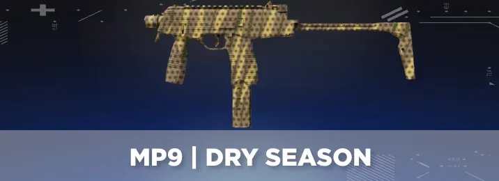 CS2 skin with a cool flavor text.