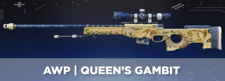 CS2 skin with a cool flavor text.