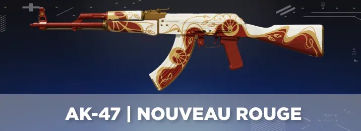 CS2 skin with a cool flavor text.