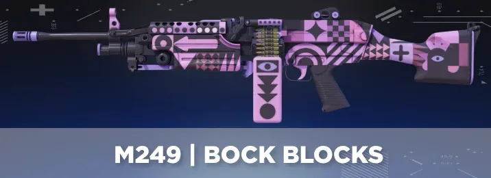 CS2 skin with a cool flavor text.