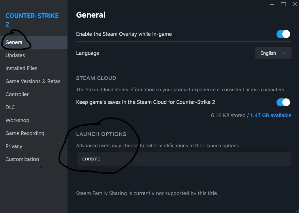 CS2 launch options with -console command in it.