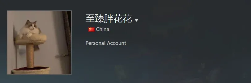至臻胖花花 top 5 most expesnive cs2 inventory steam profile
