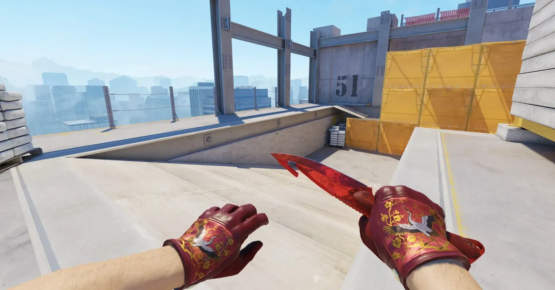 CS2 loadout showcasing the Gut Knife Doppler Ruby with a vivid red blade alongside Driver Gloves Brocade Crane featuring a deep red leather design with golden crane and floral embroidery