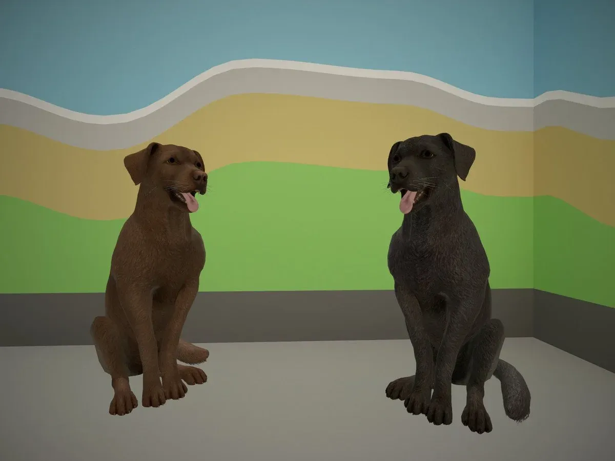 2 dogs in new CS2 map Shelter.