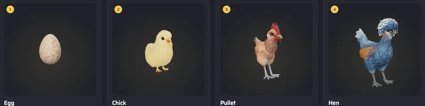 CS2 chicken pet growth stages from Egg to Chick, Pullet and Hen