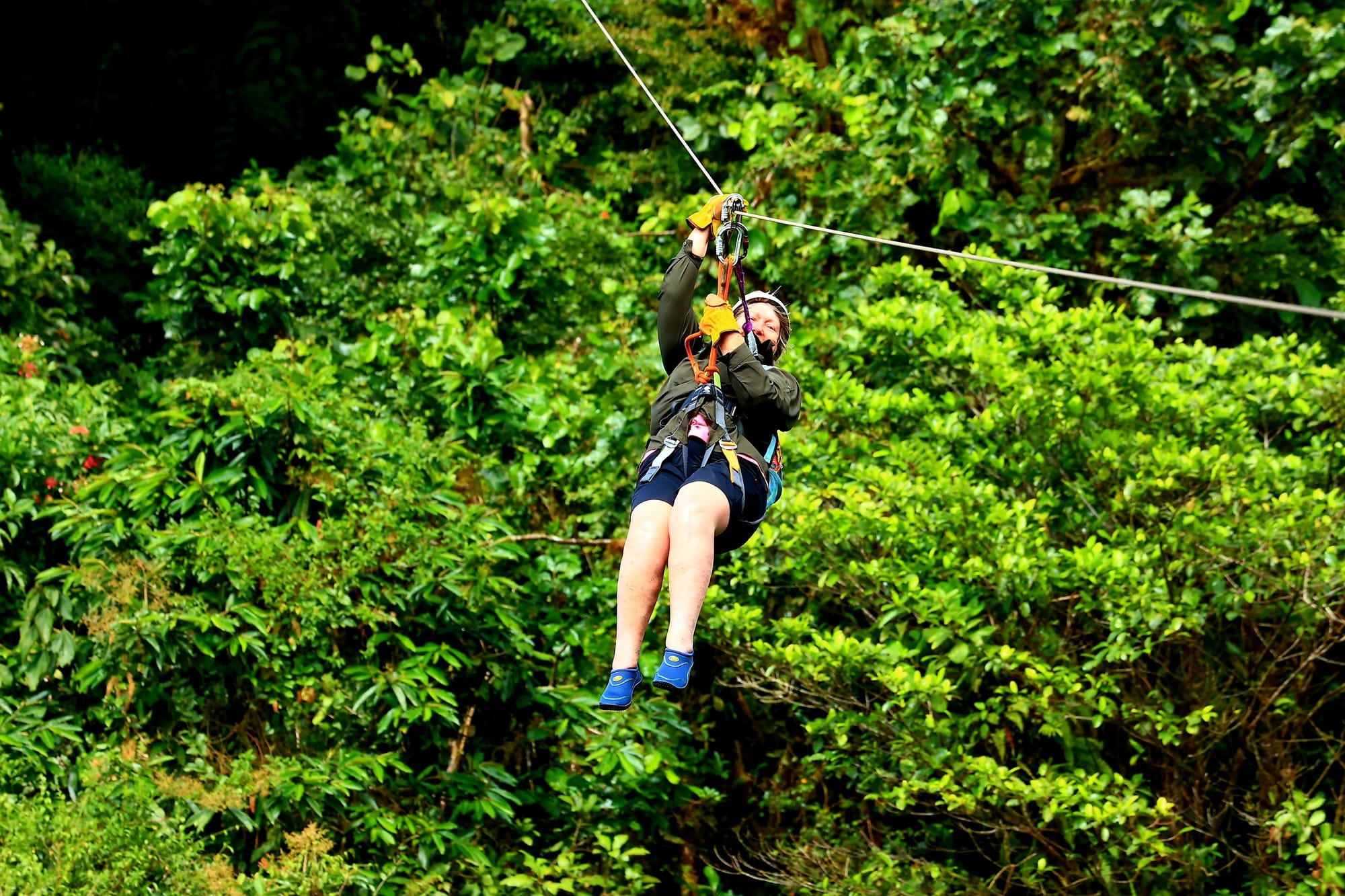 Gliding above the jungle canopy on the Sepultura zipline, surrounded by nothing but green.