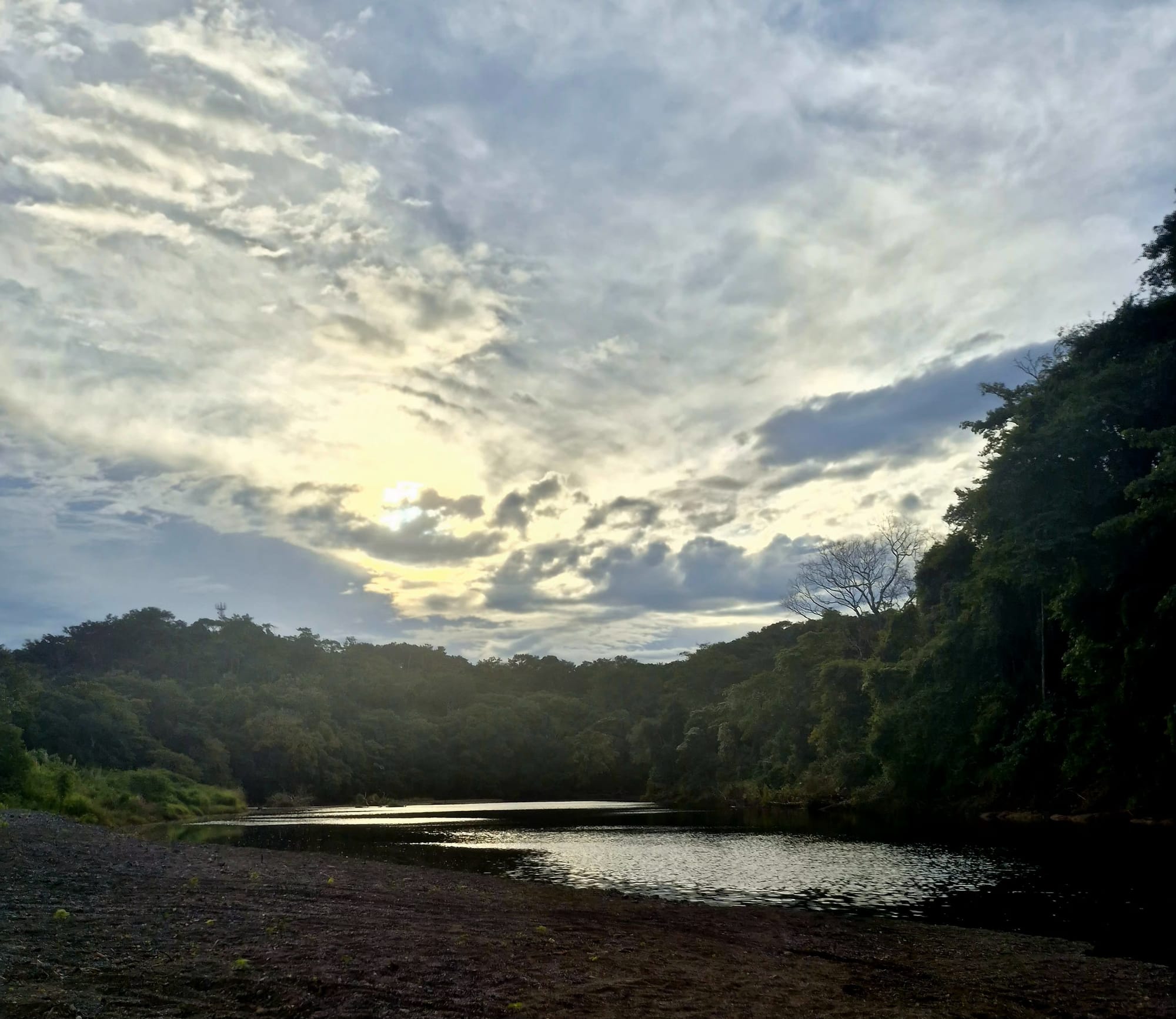 The Ora River, quiet water framed by dense jungle.