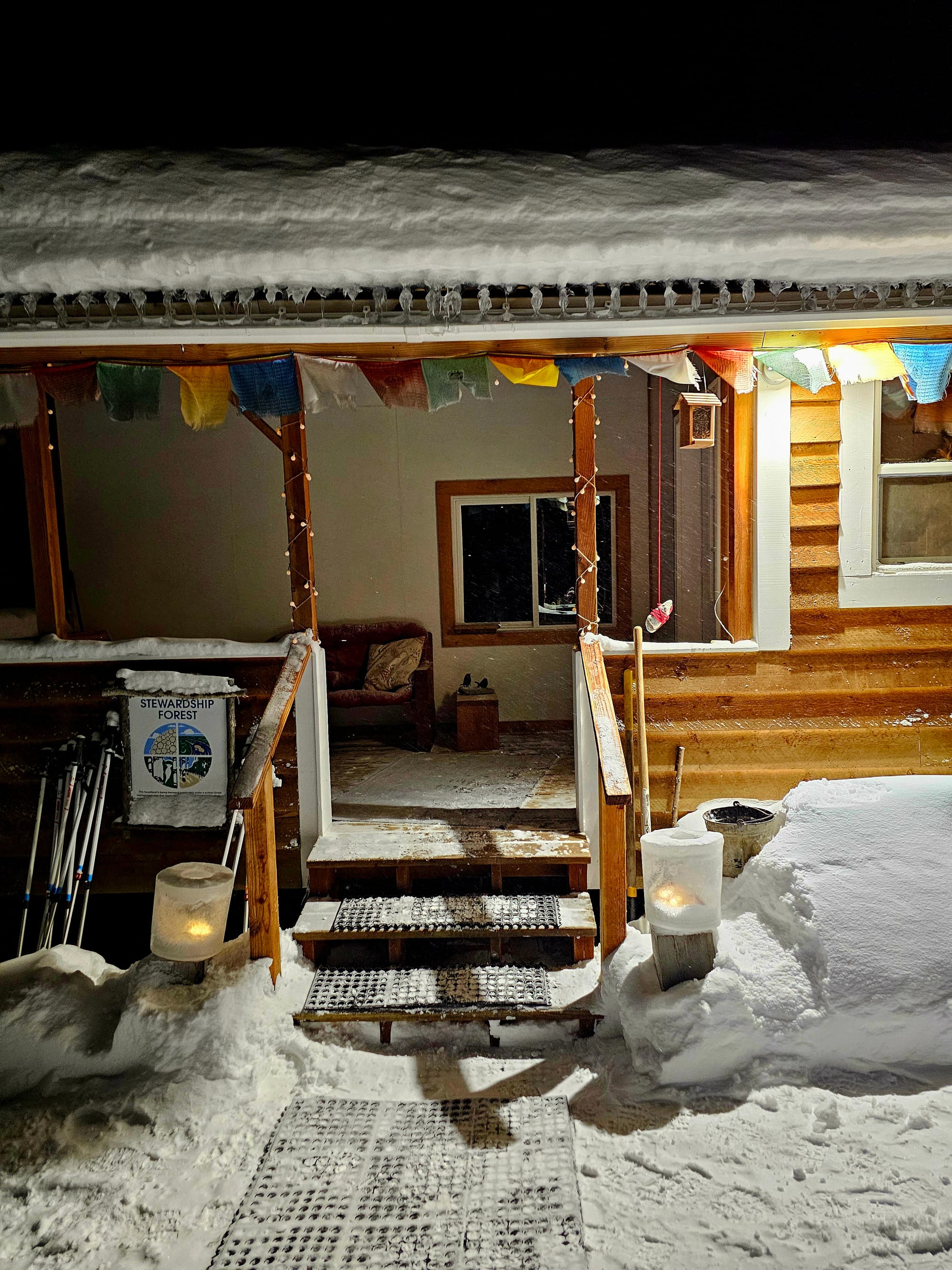 The off-grid homestead at Aurora Bear — Frank, Maureen and the dogs welcoming guests in from the snow for our farewell Alaskan BBQ.