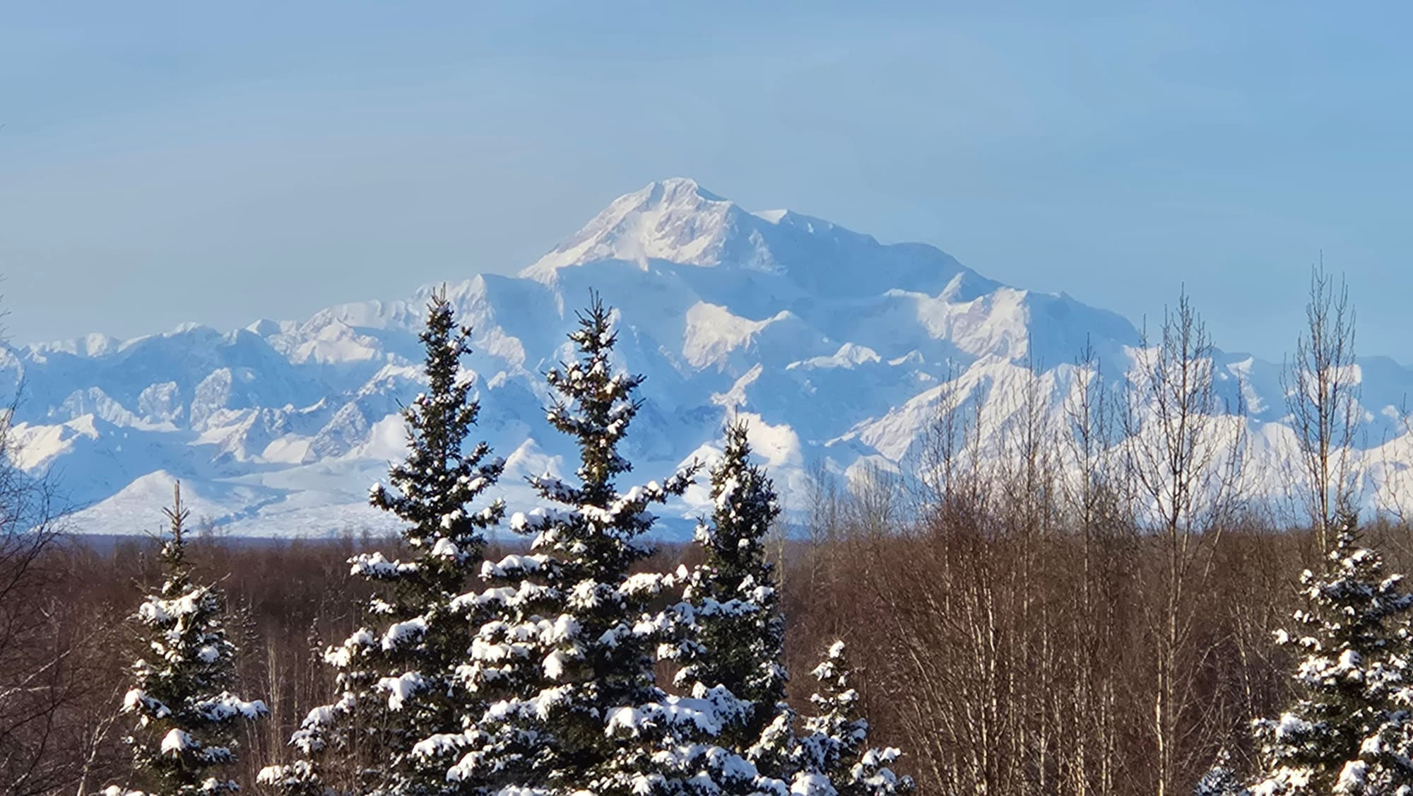 Denali rising above the Alaska Range — 20,310 feet of snow, ice and sheer vertical relief dominating the winter horizon.
