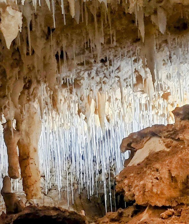 Wild South: Albany Road Trip to Giant Trees, Jewel Cave & Forest Canopies