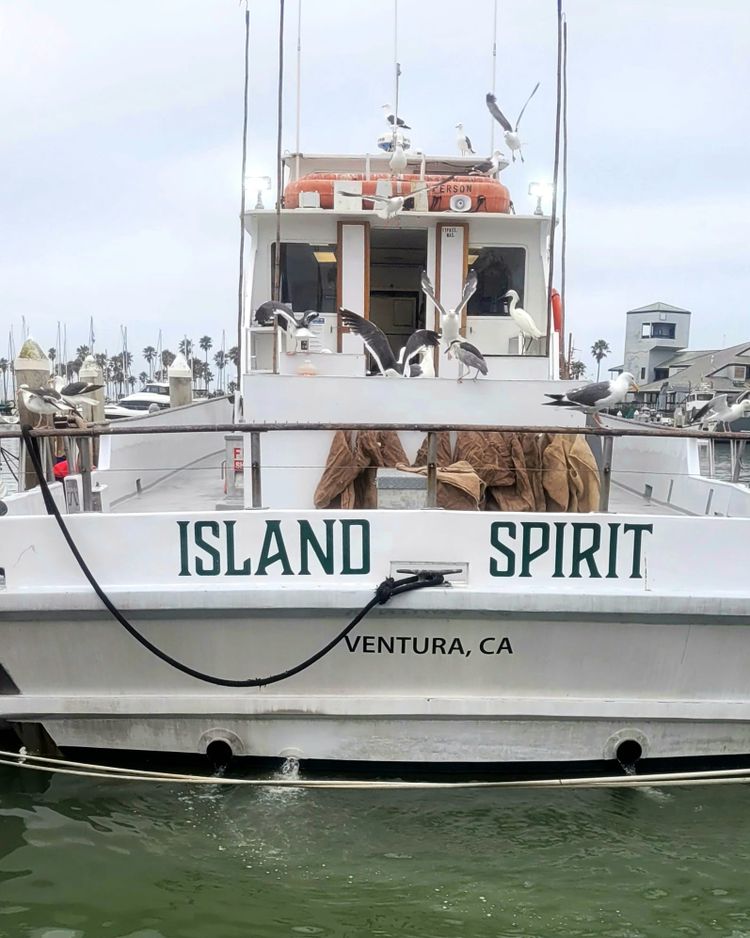 Ventura Deep Sea Fishing