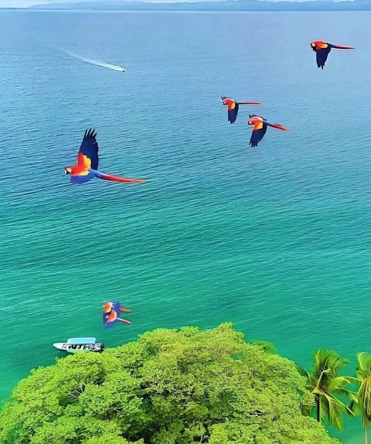 Costa Rica Week 2: Caribbean Vibes, Rainforest Trails & River Adventures