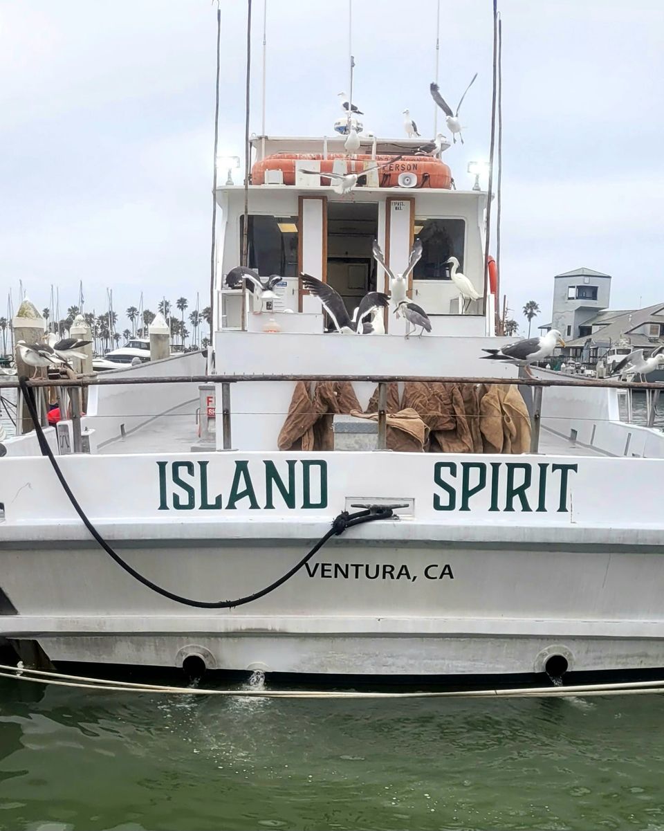 Ventura Deep Sea Fishing