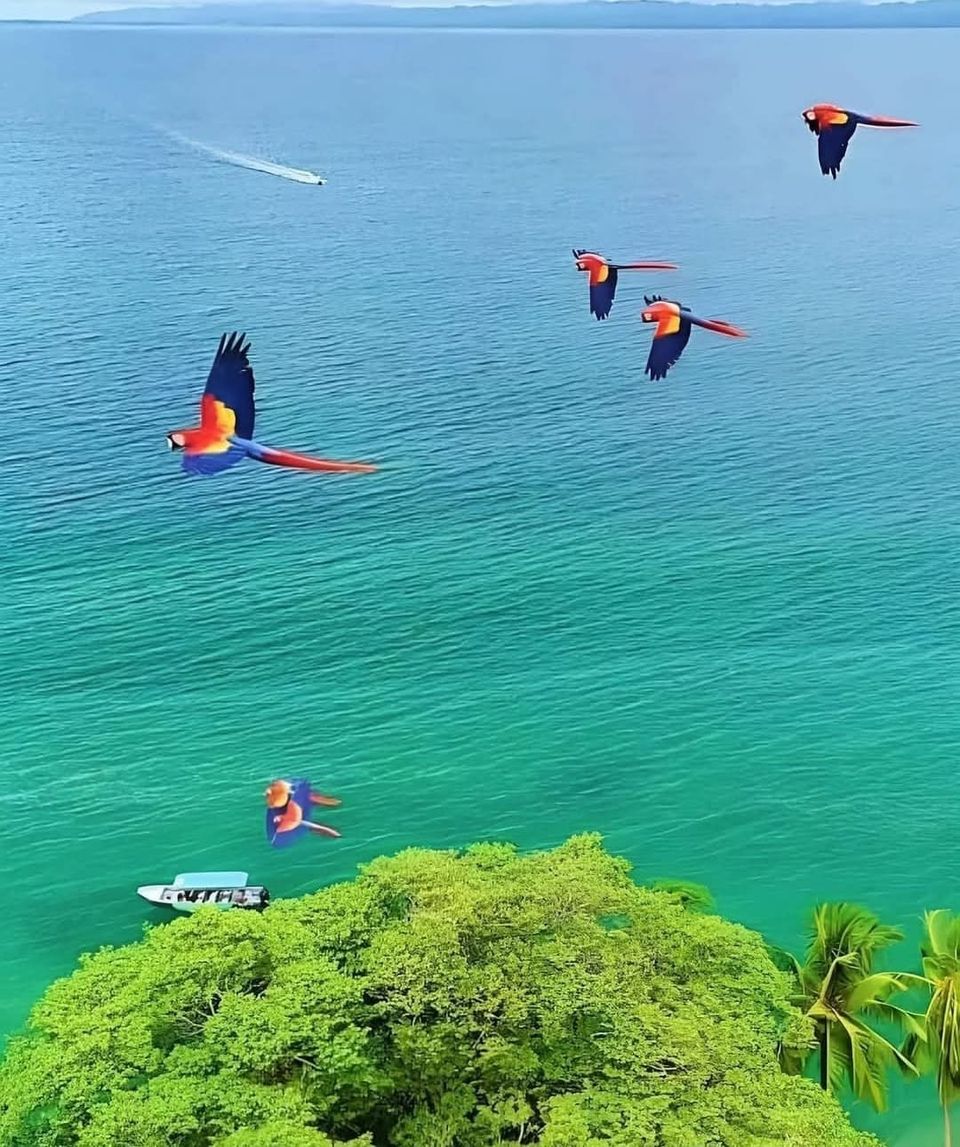 Costa Rica Week 2: Caribbean Vibes, Rainforest Trails & River Adventures