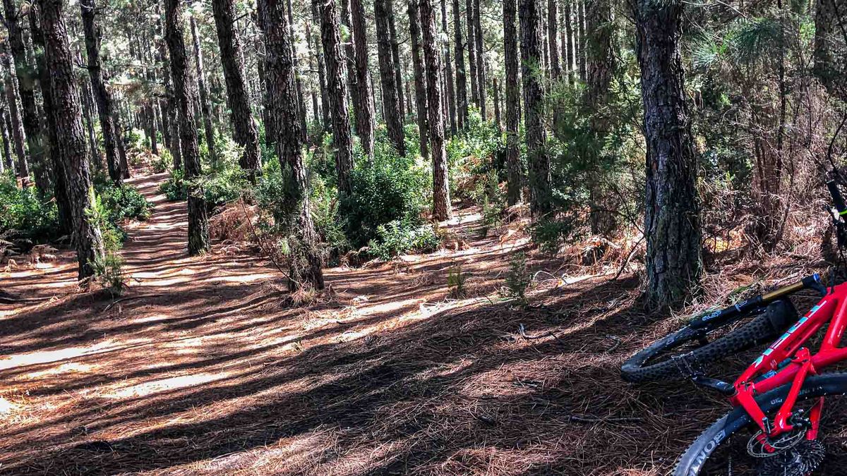 Mountainbike Trail auf La Palma von Harald Maier