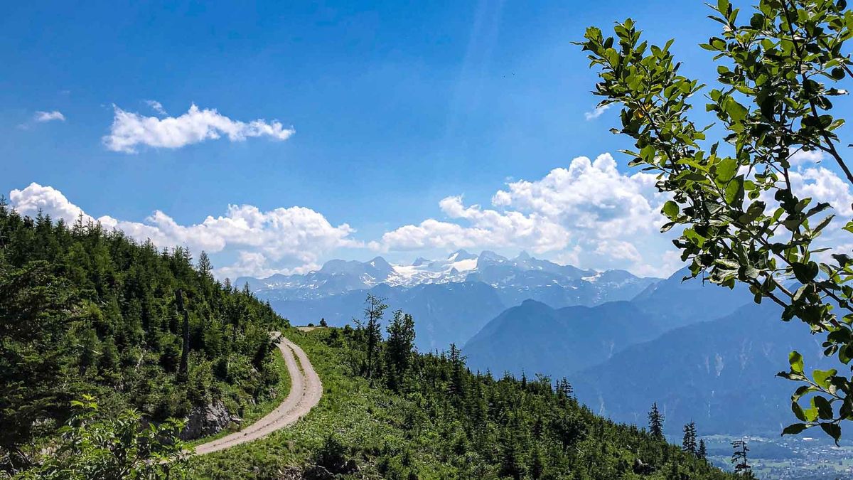 Salzkammergut | Mountainbike Strecke mit Dachsteinblick von Harald Maier