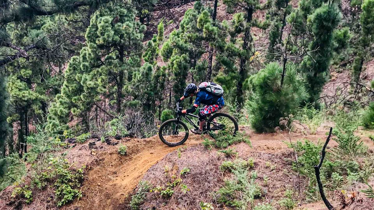 Mountainbiker am Trail von Harald Maier