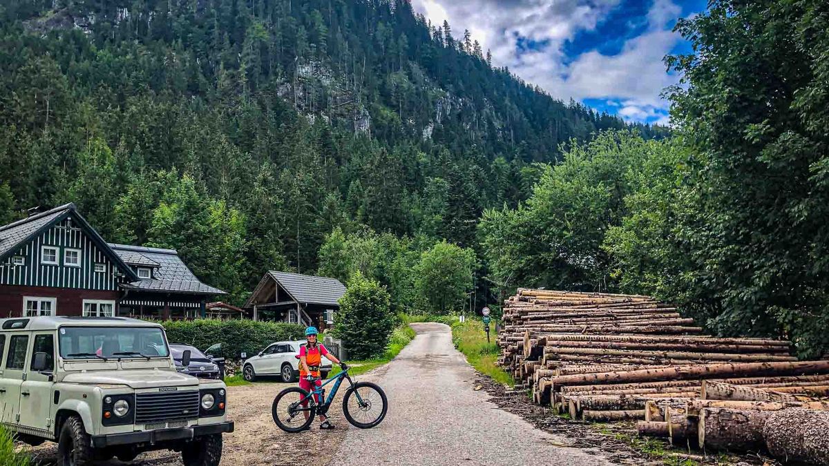 Forstgesetz und MTB-Freigabe: Was Waldeigentümer wissen müssen