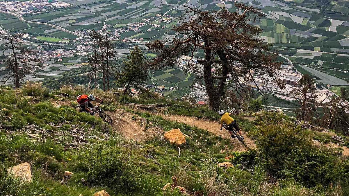 Biker am Trail von Harald Maier
