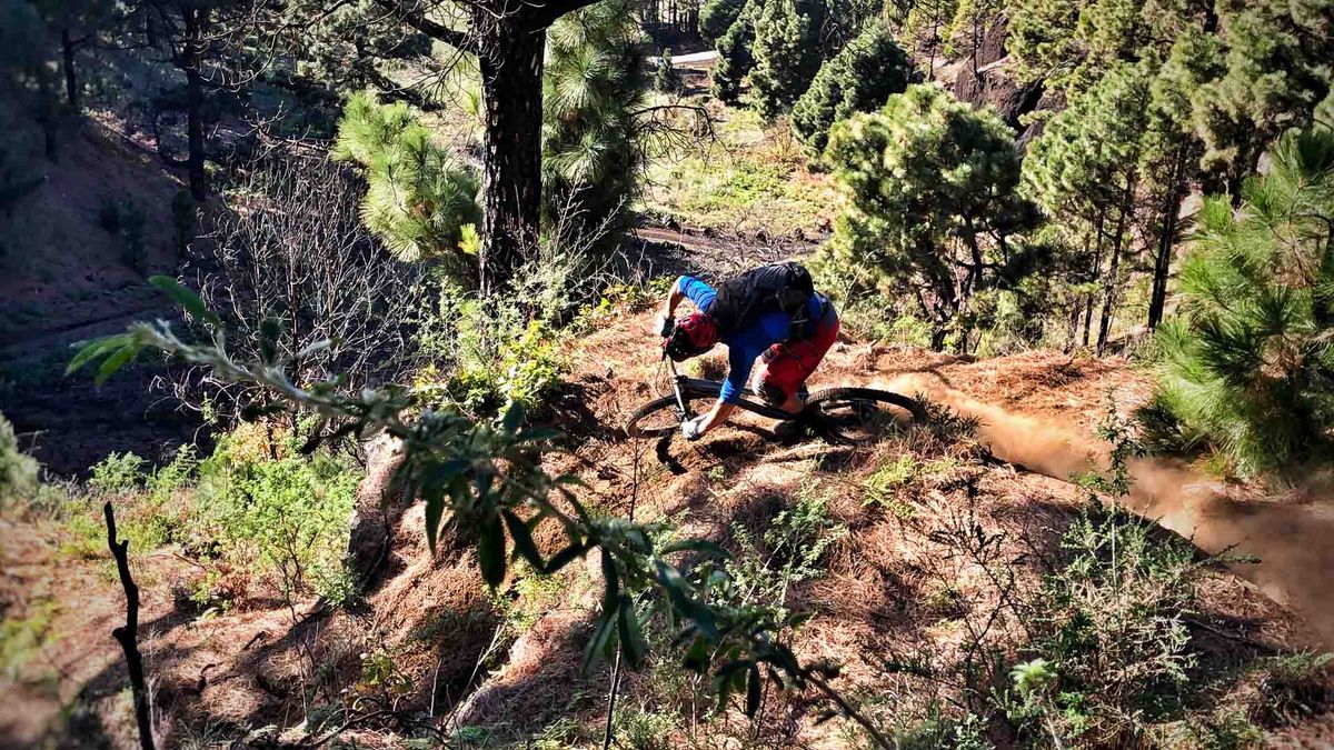 Mountainbike Trail auf La Palma von Harald Maier