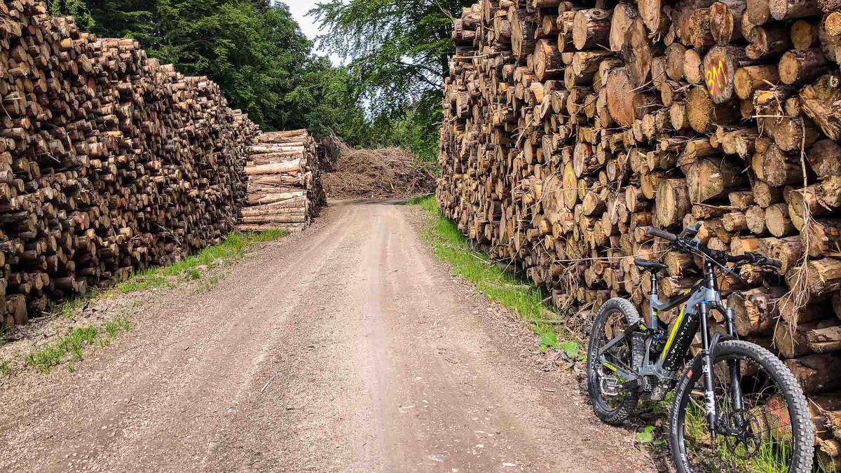 Forstliche Einschlagsplanung und MTB-Korridore: Zeitfenster-Management