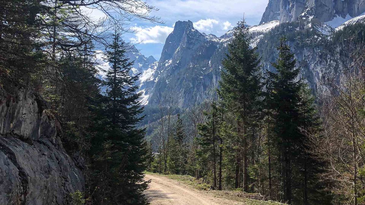 Pachtverträge für MTB-Strecken: Worauf Grundeigentümer achten müssen