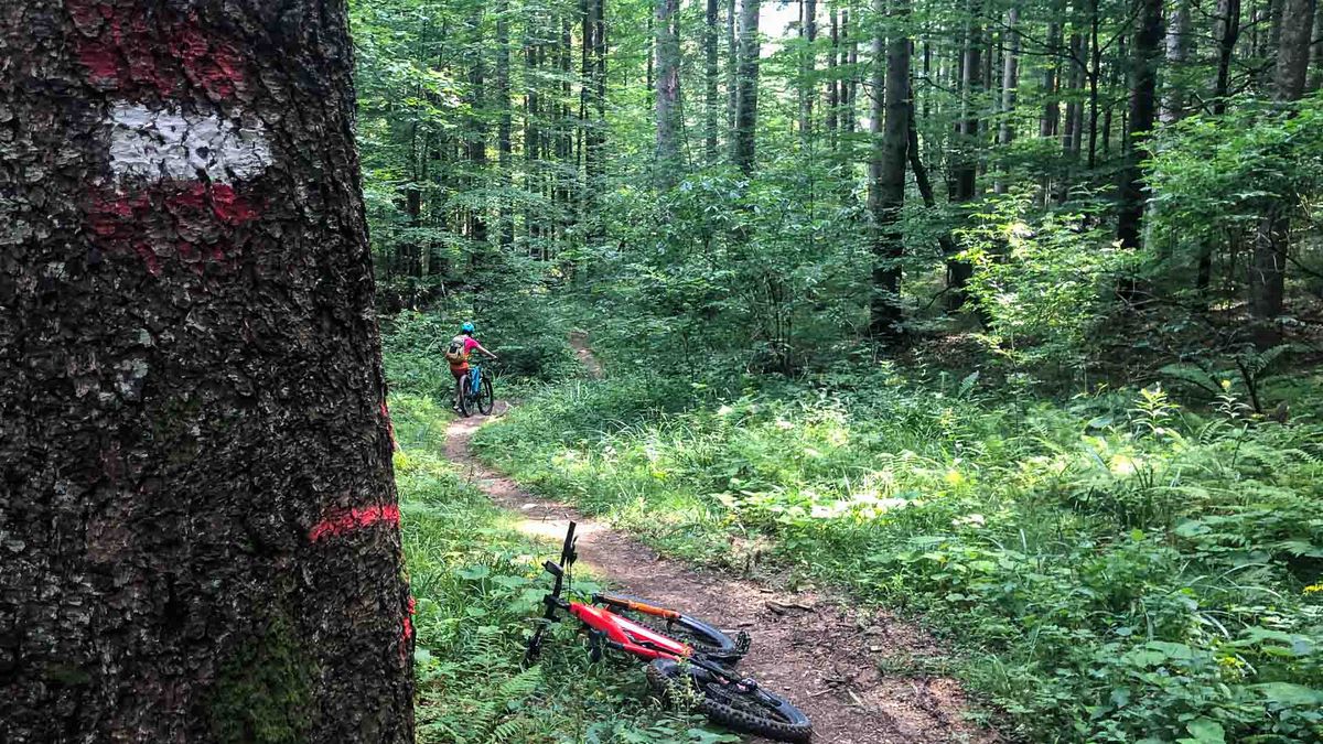 Nutzungsverträge für MTB-Strecken: Wie Gemeinden rechtssichere Grundlagen schaffen