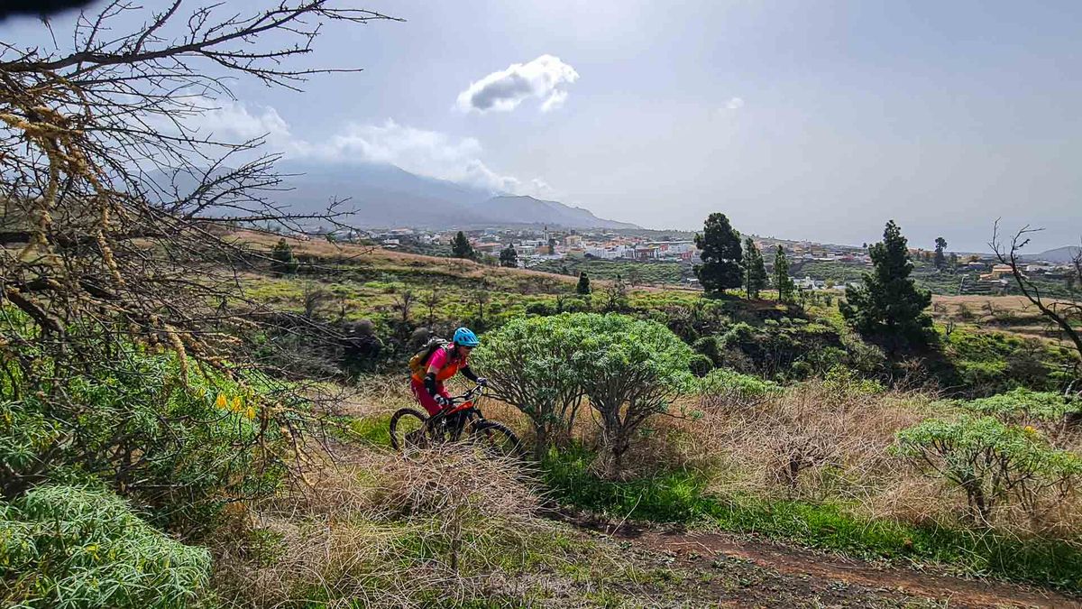Mountainbiking als Massenphänomen: Was Gemeinden jetzt wissen müssen