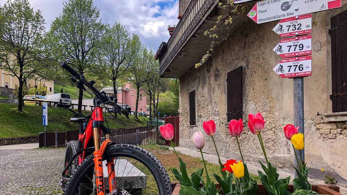 Trailbau-Standards: IMBA, STS und ITRS im kritischen Vergleich