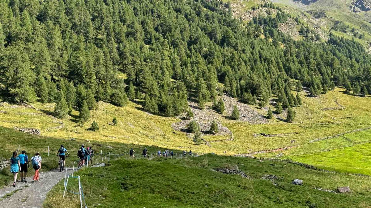 Nutzergruppen-Konflikte auf gemeinsamen Wegen verstehen und entschärfen