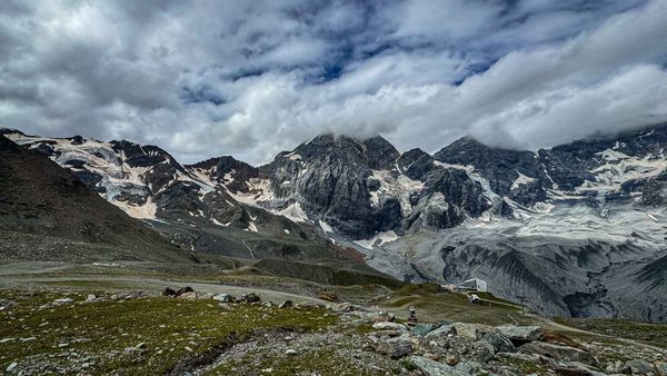 Blick vom Madritschjoch auf die Königsspitze von Harald Maier